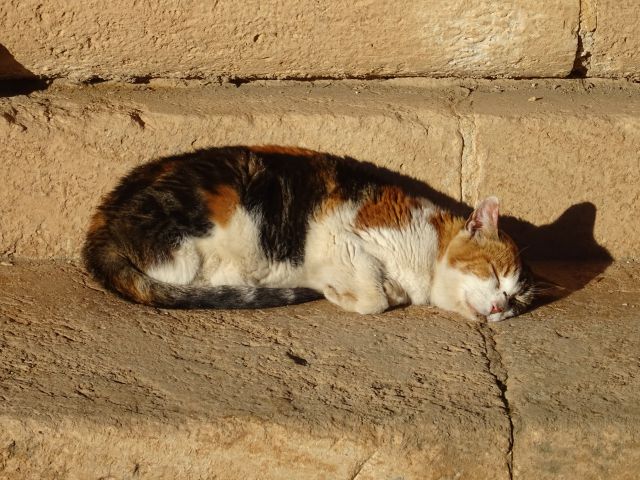Alhambra